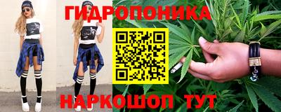 индика Краснокаменск