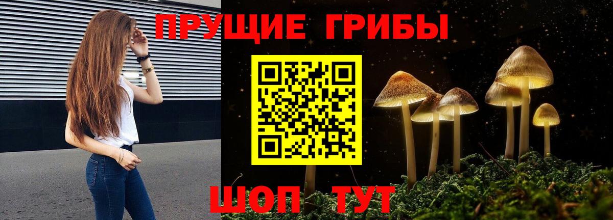 Псилоцибиновые грибы MAGIC MUSHROOMS Кохма